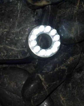 12 LED Pond Ring Light - White