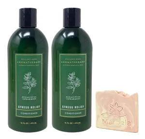 Bath & Body Works Aromatherapy Eucalyptus Spearmint 2 Piece Moisturizing Conditioner Set with a Himalayan Salts Springs Sample Soap