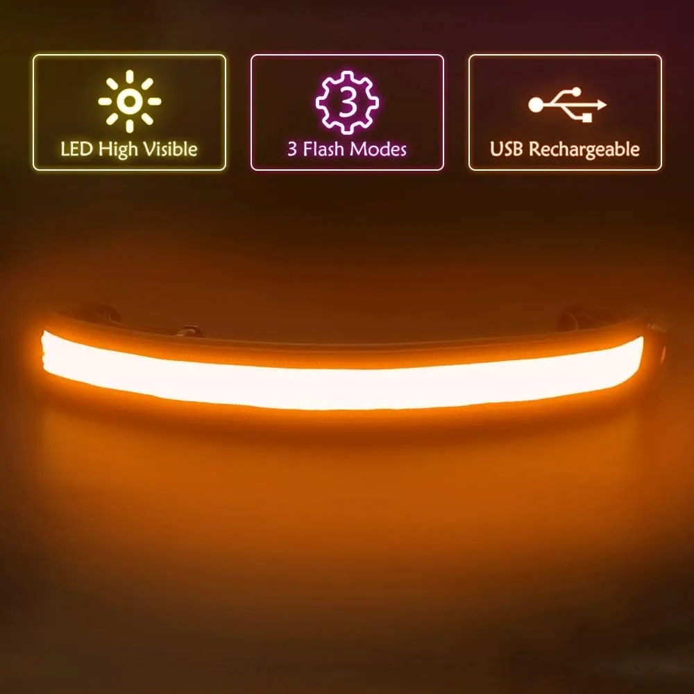 BSEEN LED Running Waist Belt - USB Rechargeable Reflective Glowing LED Waistband, Flashing Safety Light Belt for Runners, Joggers, Walkers, Pet Owners, Cyclists