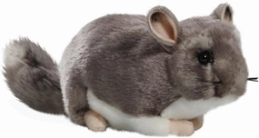 Chinchilla 8.5 inches, 12 inches with Tail, 23cm, Plush Toy, Soft Toy, Stuffed Animal 3040