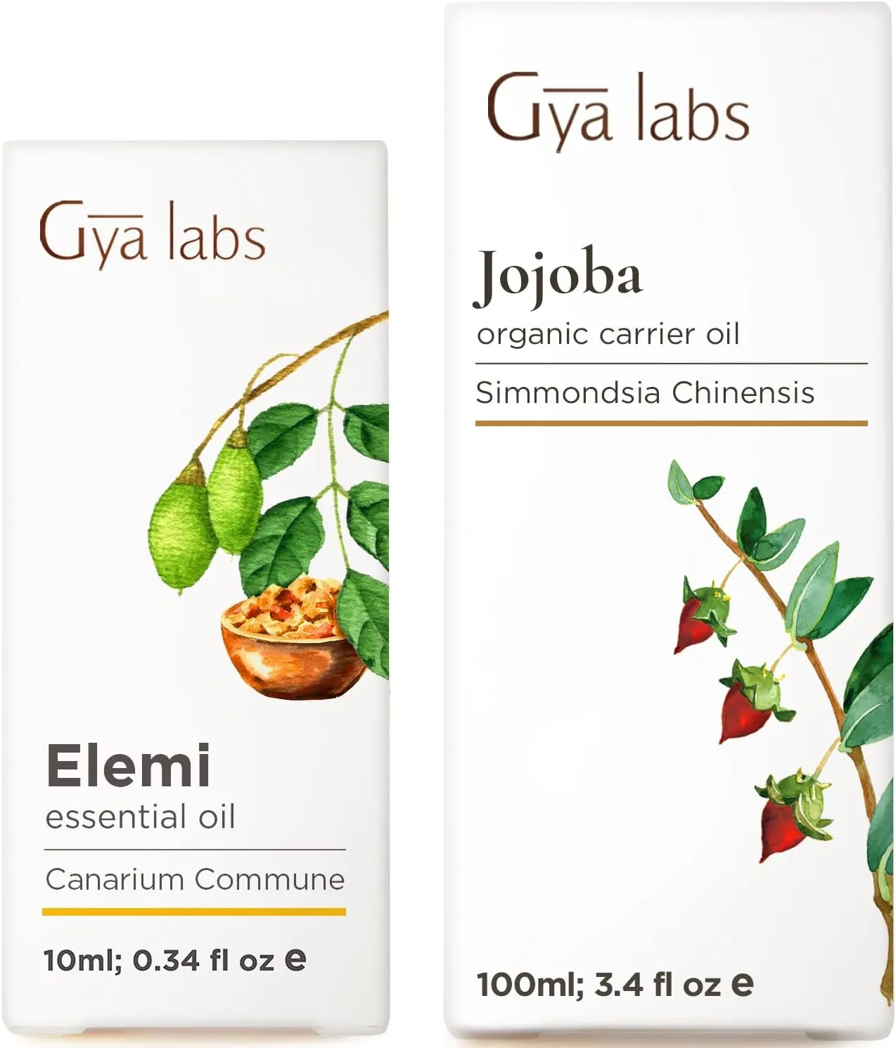 Elemi Essential Oil for Skin (0.34 fl oz) & Jojoba Oil for Hair (3.4 fl oz) Set - 100% Natural Aromatherapy Grade Essential Oils Set - Gya Labs