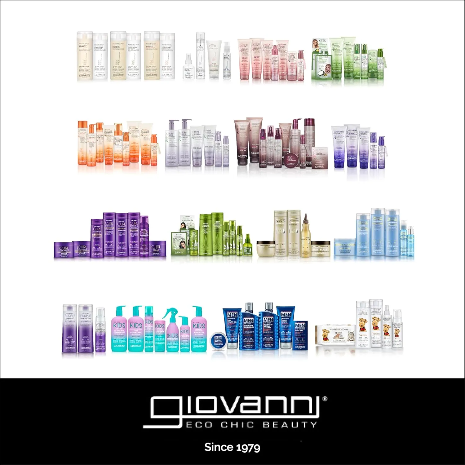 GIOVANNI ECO CHIC Frizz Be Gone - Super Smoothing Anti-Frizz Hair Serum, Adds Shine, Seals in Color, Infused with Natural Botanical Ingredients, Salon Quality, No Parabens - 2.75 oz (3 Pack)