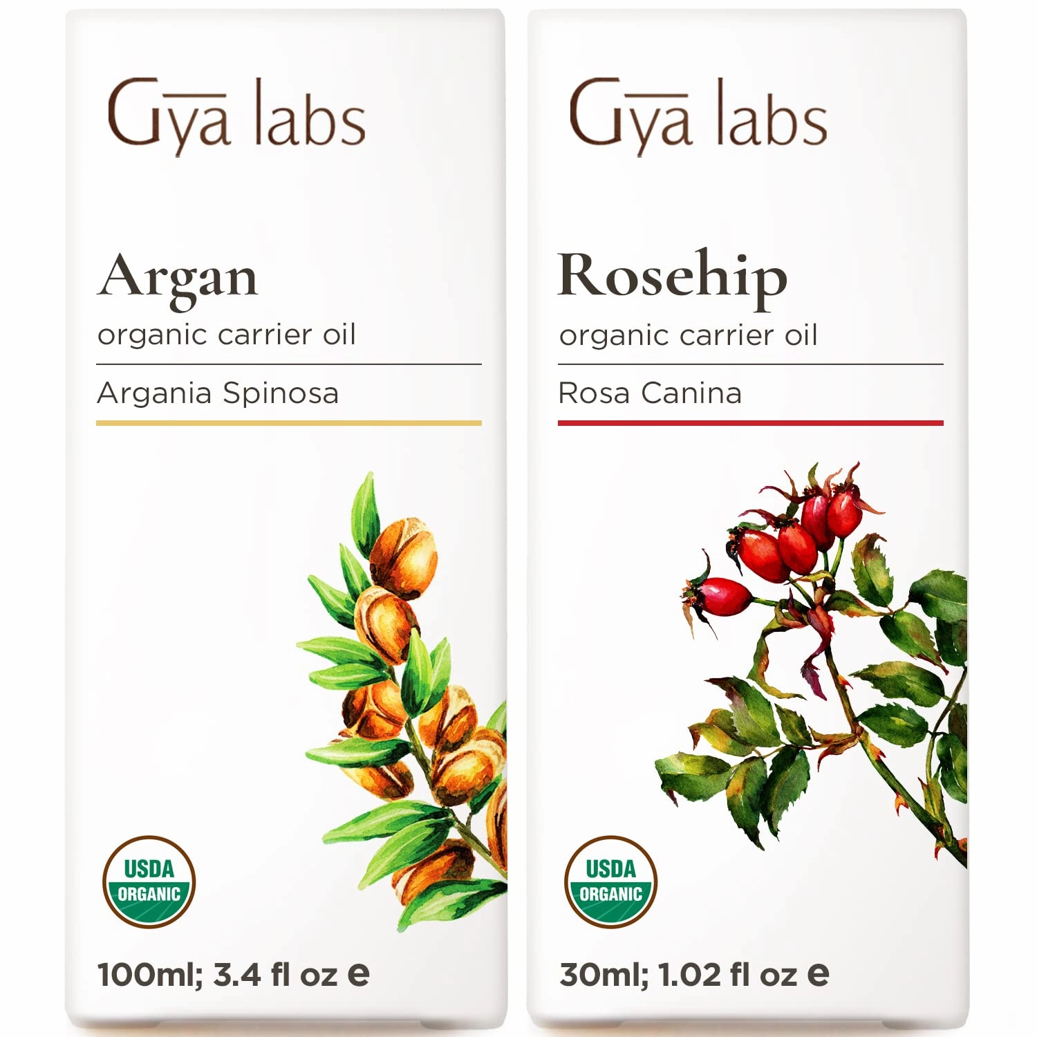 Gya Labs Carrot Oil for Skin & Rosehip Oil for Face Set - 100% Natural Aromatherapy Grade Essential Oils Set - 2x1 fl oz