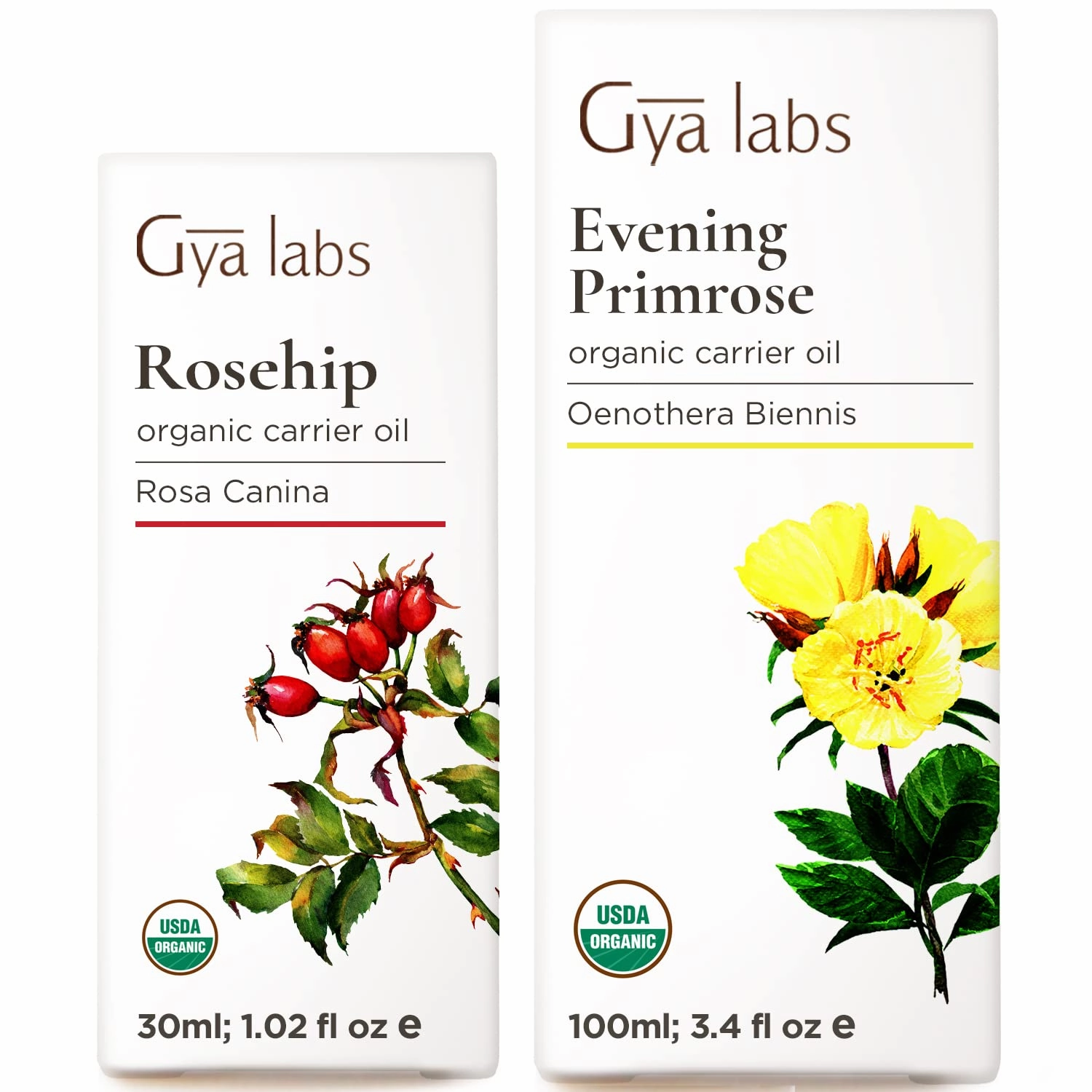 Gya Labs Rosehip Oil for Face (30ml) & Evening Primrose Oil for Face (100ml) Set - 100% Natural Aromatherapy Grade Essential Oils Set