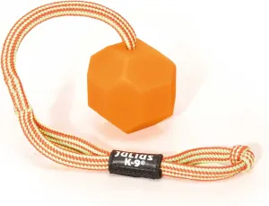 Julius-K9 IDC Neon Fluorescent Ball with String, 2.36 in, Orange