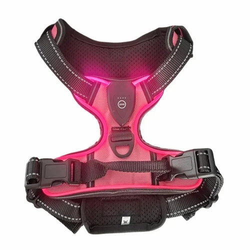 LED Light Up Dog Harness No Pull Adjustable Rechargeable Pet Vest