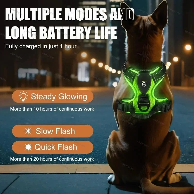 LED Light Up Dog Harness No Pull Adjustable Rechargeable Pet Vest