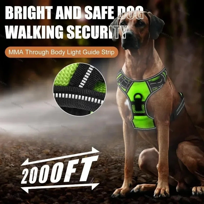 LED Light Up Dog Harness No Pull Adjustable Rechargeable Pet Vest