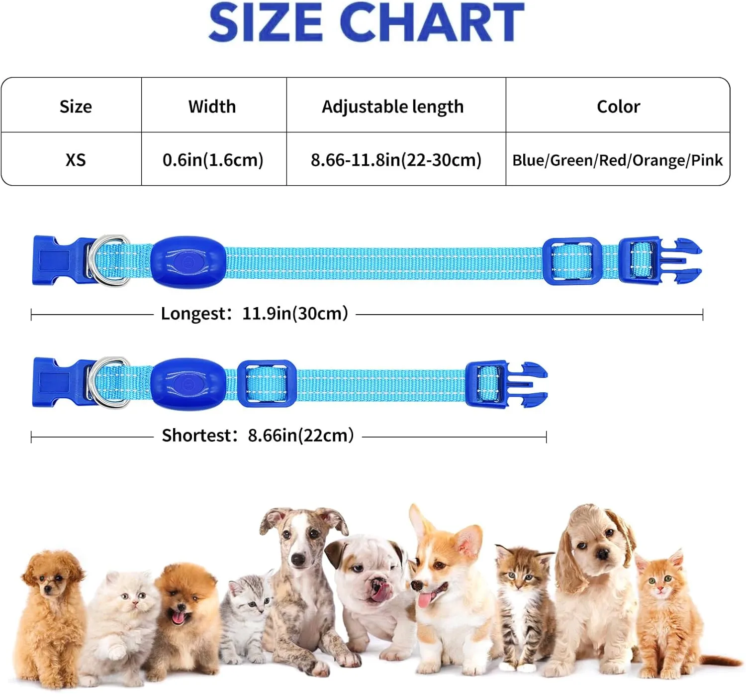 Light Up Dog Collar for Small Dogs, Reflective LED Dog Collar Rechargeable Puppy Collar Glowing Cat Collars Safety Dog Lights for Night Walking (XS, Royal Blue)