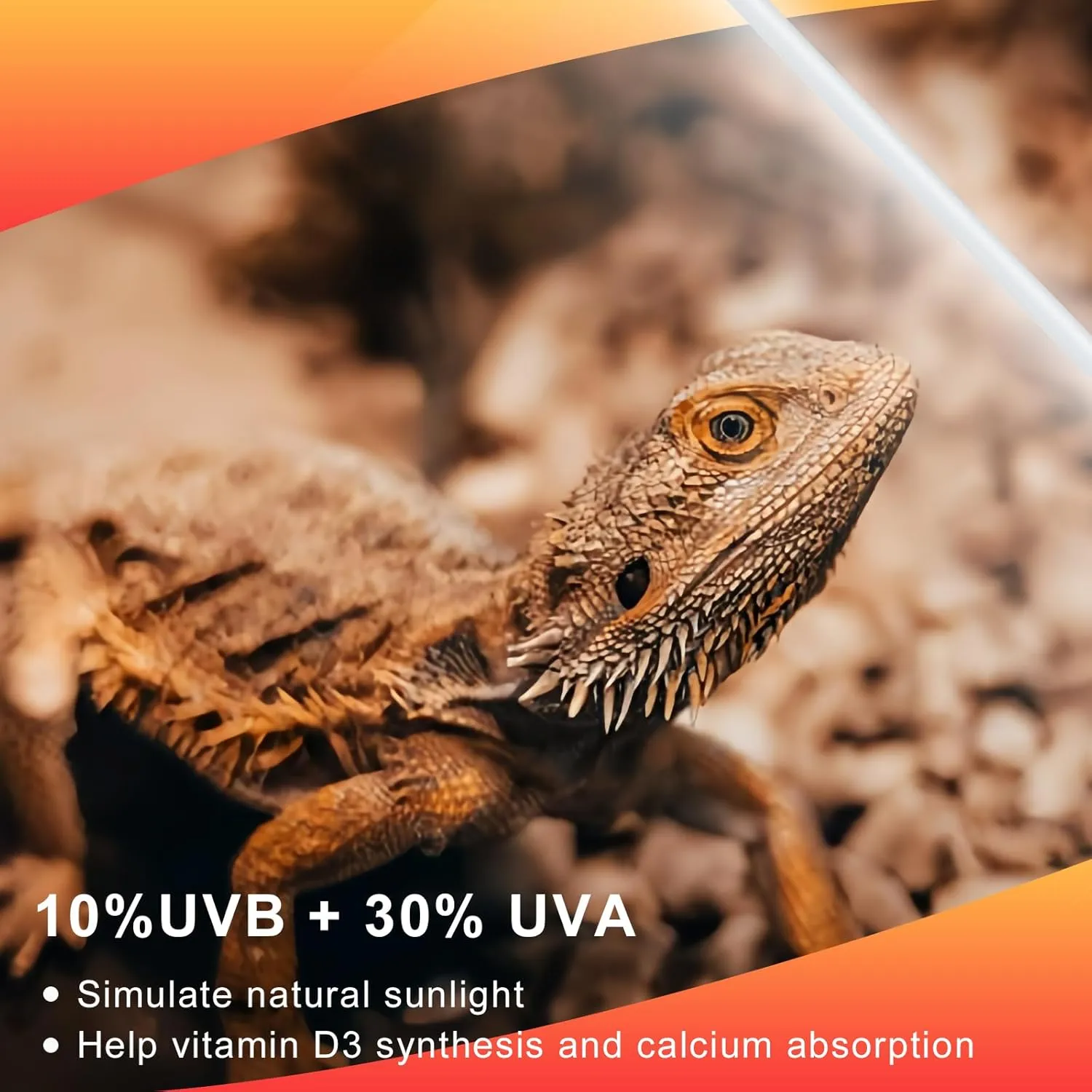 LUCKY HERP 2 Pack T5 UVB 10.0 Reptile Light 8W, UVA UVB Fluorescent Lamp Tube, UVB Lighting Bulb for Turtles, Chameleon, Tortoises, Lizard