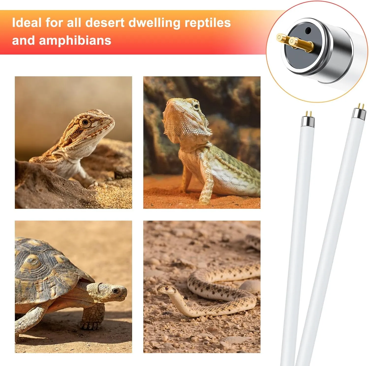 LUCKY HERP 2 Pack T5 UVB 10.0 Reptile Light 8W, UVA UVB Fluorescent Lamp Tube, UVB Lighting Bulb for Turtles, Chameleon, Tortoises, Lizard