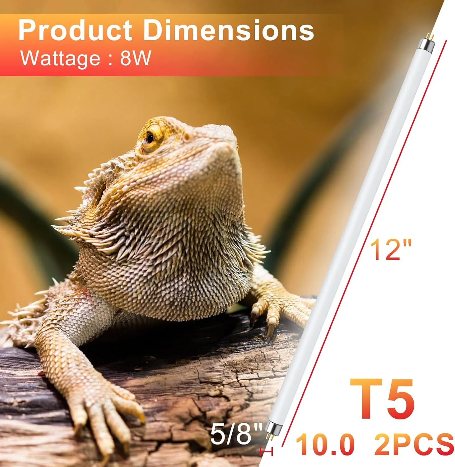 LUCKY HERP 2 Pack T5 UVB 10.0 Reptile Light 8W, UVA UVB Fluorescent Lamp Tube, UVB Lighting Bulb for Turtles, Chameleon, Tortoises, Lizard
