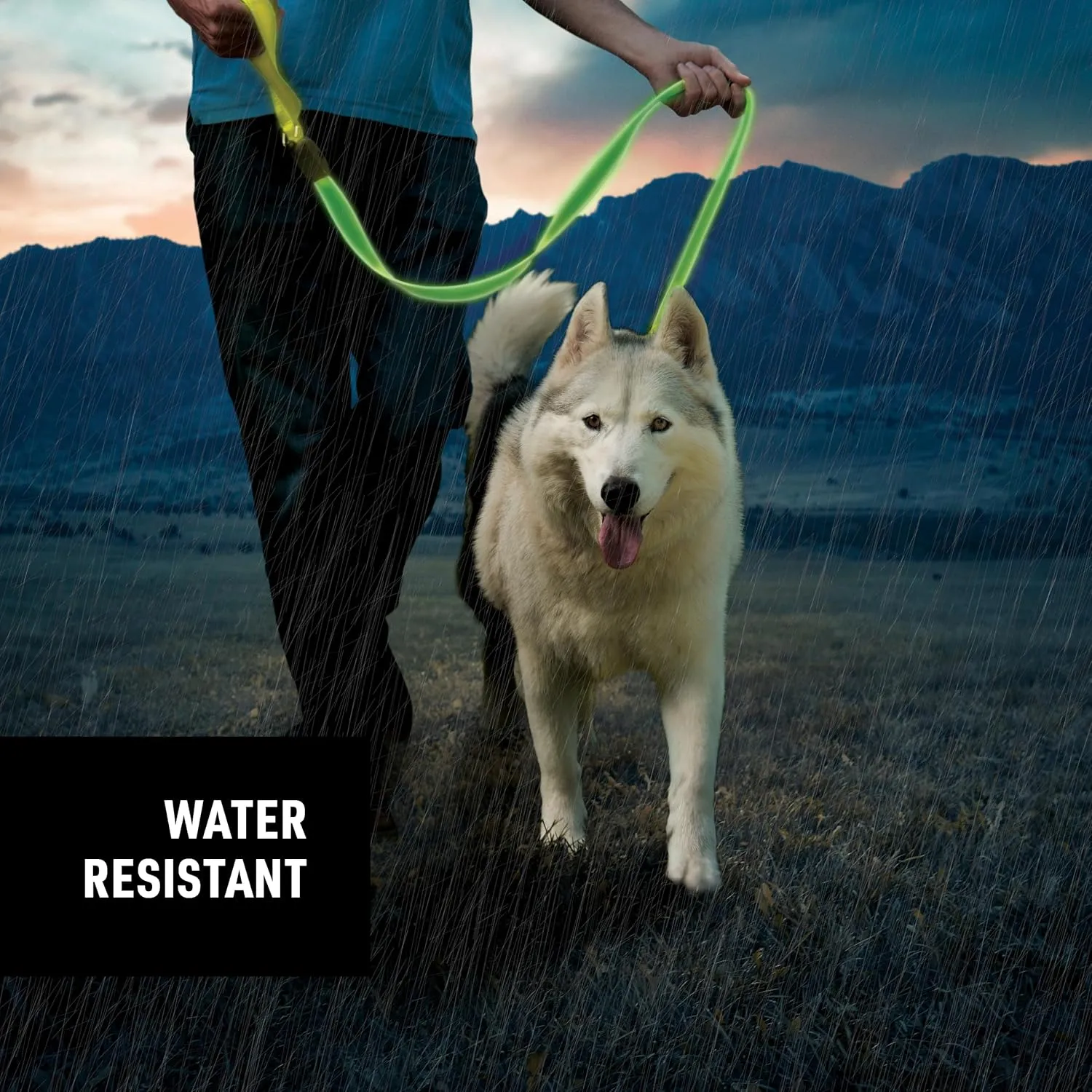 Nite Ize NiteDog Rechargeable LED Leash - Rechargeable LED Light Dog Leash with Padded Handle - Dog Walking Accessories for Walking & Running - 5 Feet, Lime