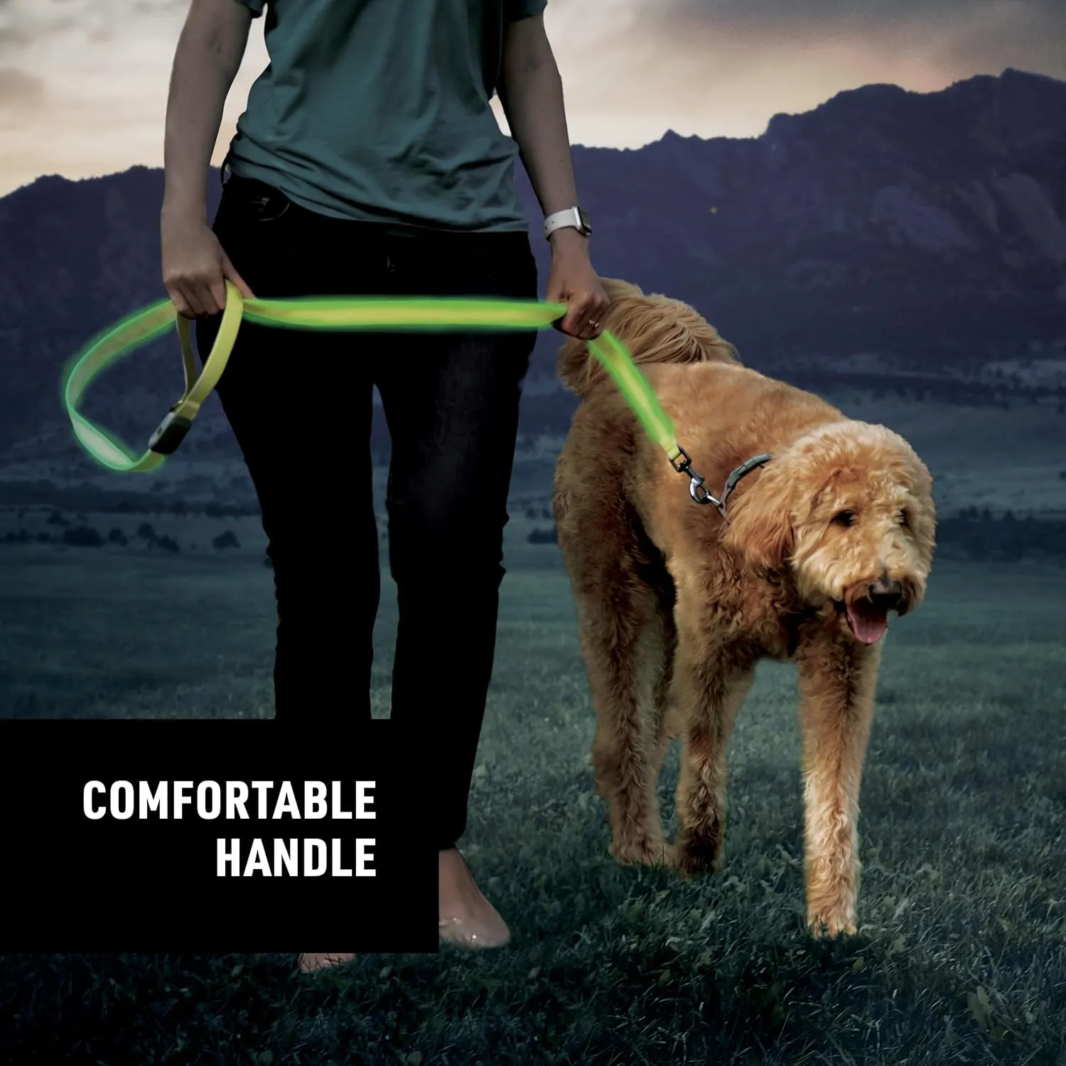 Nite Ize NiteDog Rechargeable LED Leash - Rechargeable LED Light Dog Leash with Padded Handle - Dog Walking Accessories for Walking & Running - 5 Feet, Lime