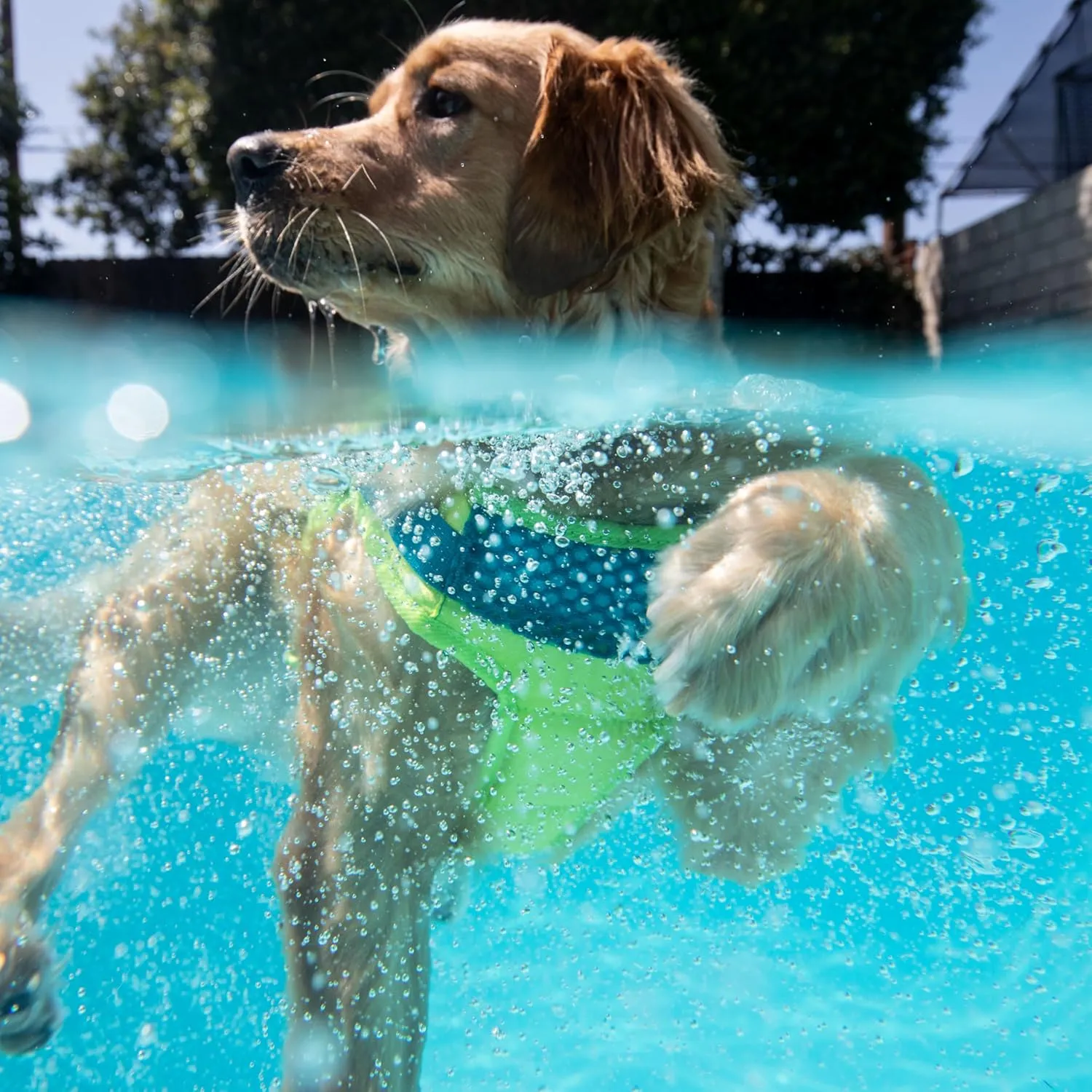 Outward Hound Standley Sport Dog Life Jacket, High-Performance Ripstop Dog Life Vest for Swimming, Boating, and Water Safety, Small, Green