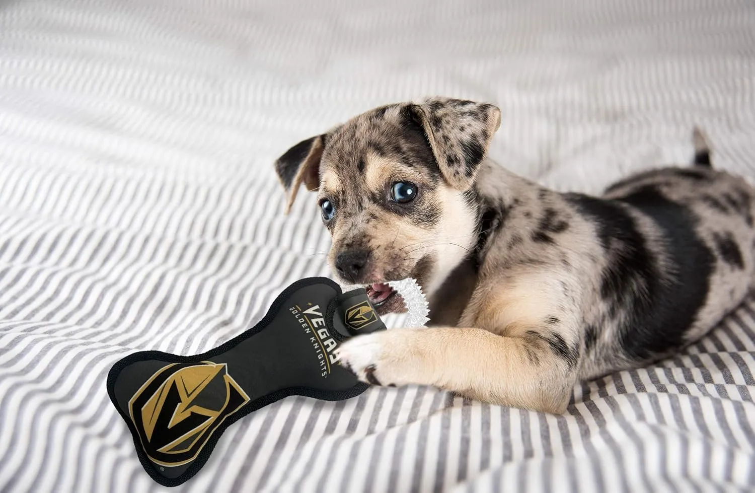 Pets First NHL LAS Vegas Golden Knights Dental Dog TUG Toy with Squeaker. Tough PET Toy for Healthy Fun, Teething & Cleaning Pet's Teeth & Gum., one Size (LVK-3310)