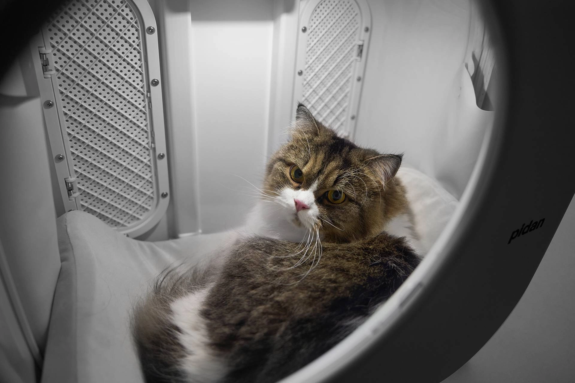 PIDAN Wheeled Pet Carrier Ventilation Type