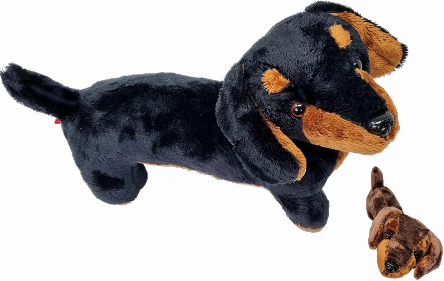 PMS 30 cm Sausage Dachshund Soft Toy (Random Colour Sent)