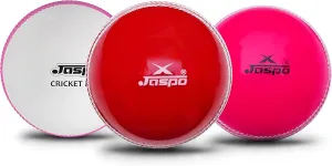 PVC T-20 Cricket Balls, (Multicolour)