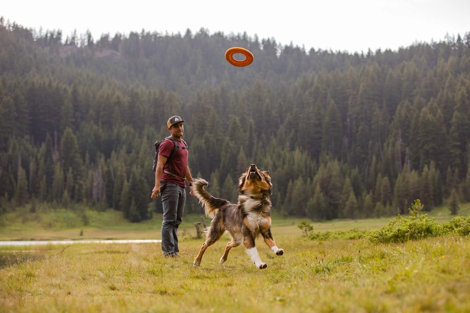 Ruffwear, Hydro Plane Floating Disc for Dogs, Campfire Orange, Medium