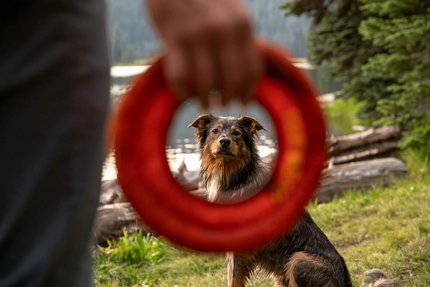 Ruffwear, Hydro Plane Floating Disc for Dogs, Campfire Orange, Medium