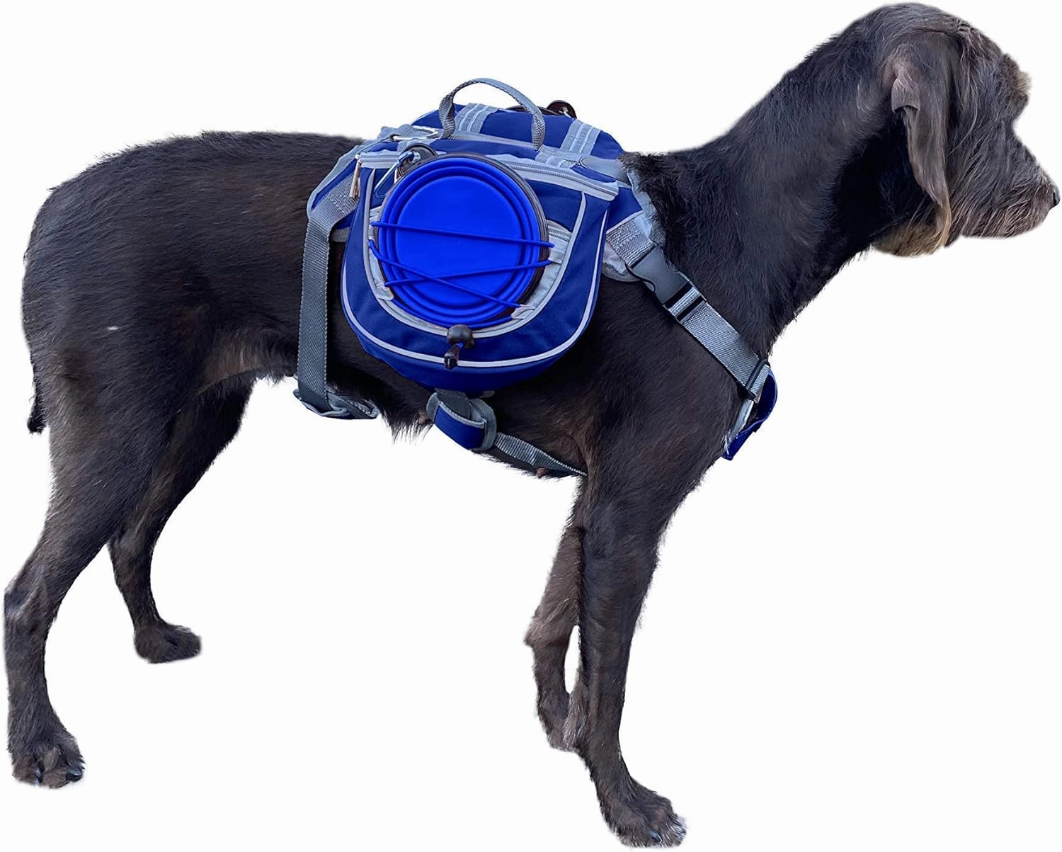 Saddlebag Back Pack & Harness Combo for Dogs 30-100  lbs. Perfect for Travel, Trail Hiking, & Camping. Reflective, Lightweight, & Comfortable. Comes with Two Collapsible Bowls (Medium, Blue)