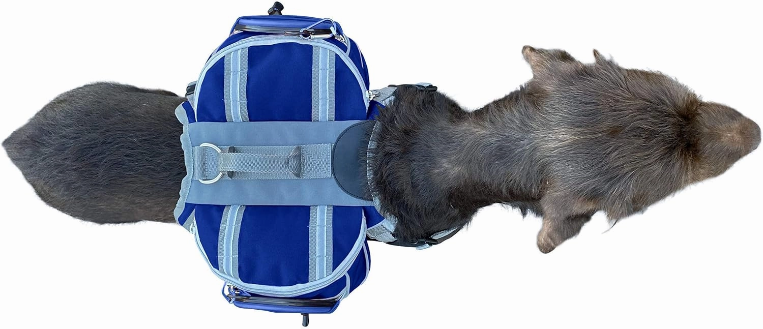 Saddlebag Back Pack & Harness Combo for Dogs 30-100  lbs. Perfect for Travel, Trail Hiking, & Camping. Reflective, Lightweight, & Comfortable. Comes with Two Collapsible Bowls (Medium, Blue)