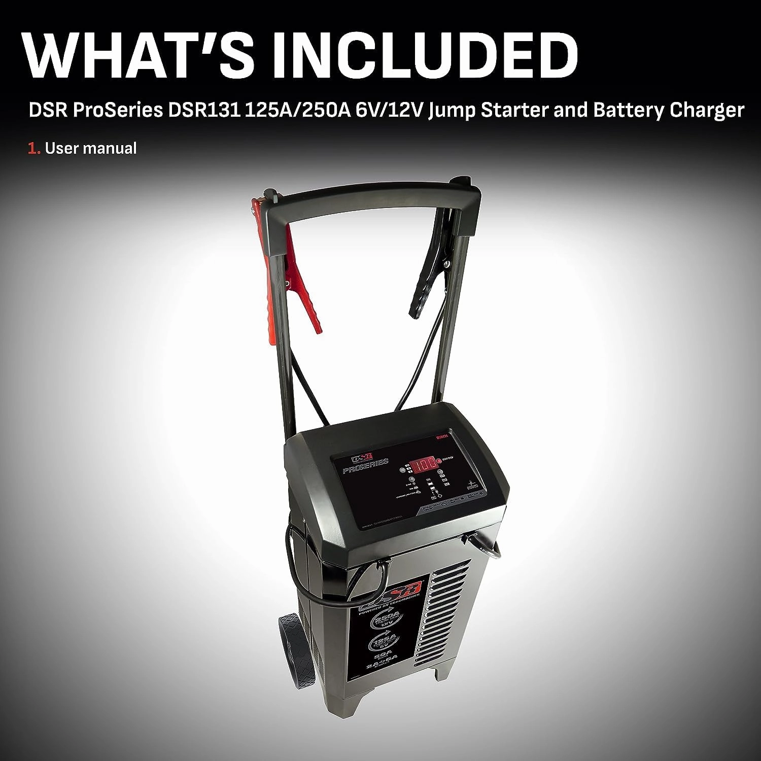 Schumacher Electric DSR131-250 Amp(12V) 125 Amp(6V) 50 Amp 6V/12V Pro Smart Car Battery Charger - Fully Automatic Auto Battery Charger, Battery Maintainer & Portable Car Charger for Dealers & Shops