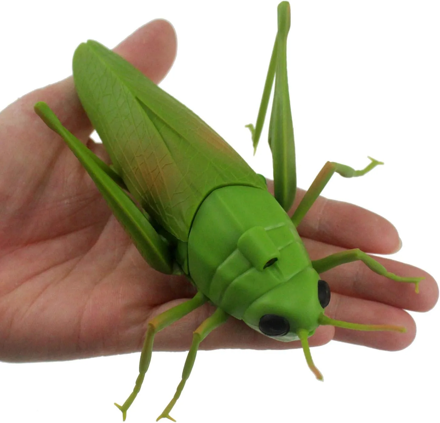 Tipmant RC Grasshopper Remote Control Grass Hopper Animal Toy Electronic Locust Fake Insect Car Vehicle Kids Birthday Gifts