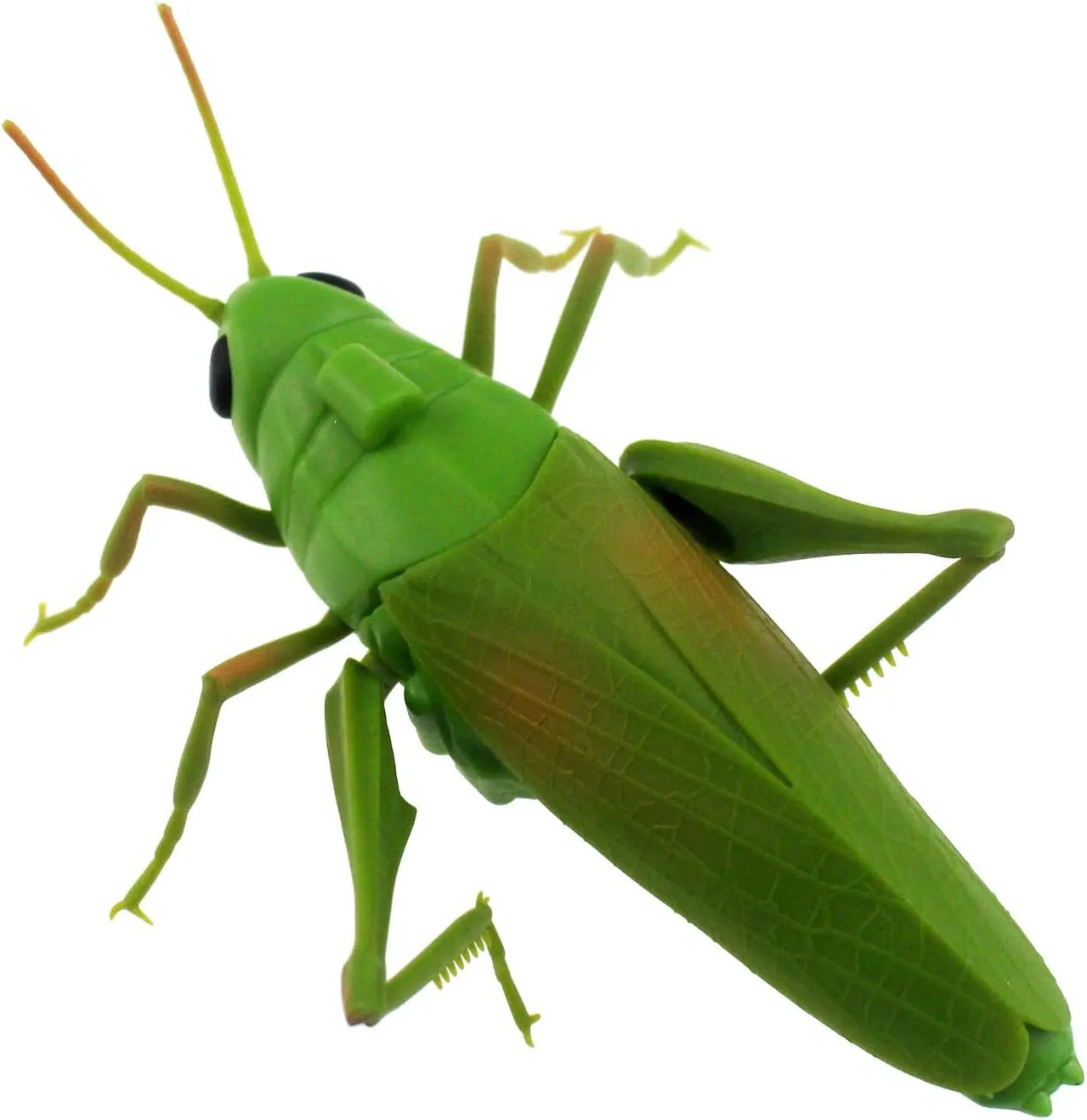 Tipmant RC Grasshopper Remote Control Grass Hopper Animal Toy Electronic Locust Fake Insect Car Vehicle Kids Birthday Gifts