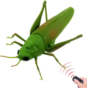 Tipmant RC Grasshopper Remote Control Grass Hopper Animal Toy Electronic Locust Fake Insect Car Vehicle Kids Birthday Gifts