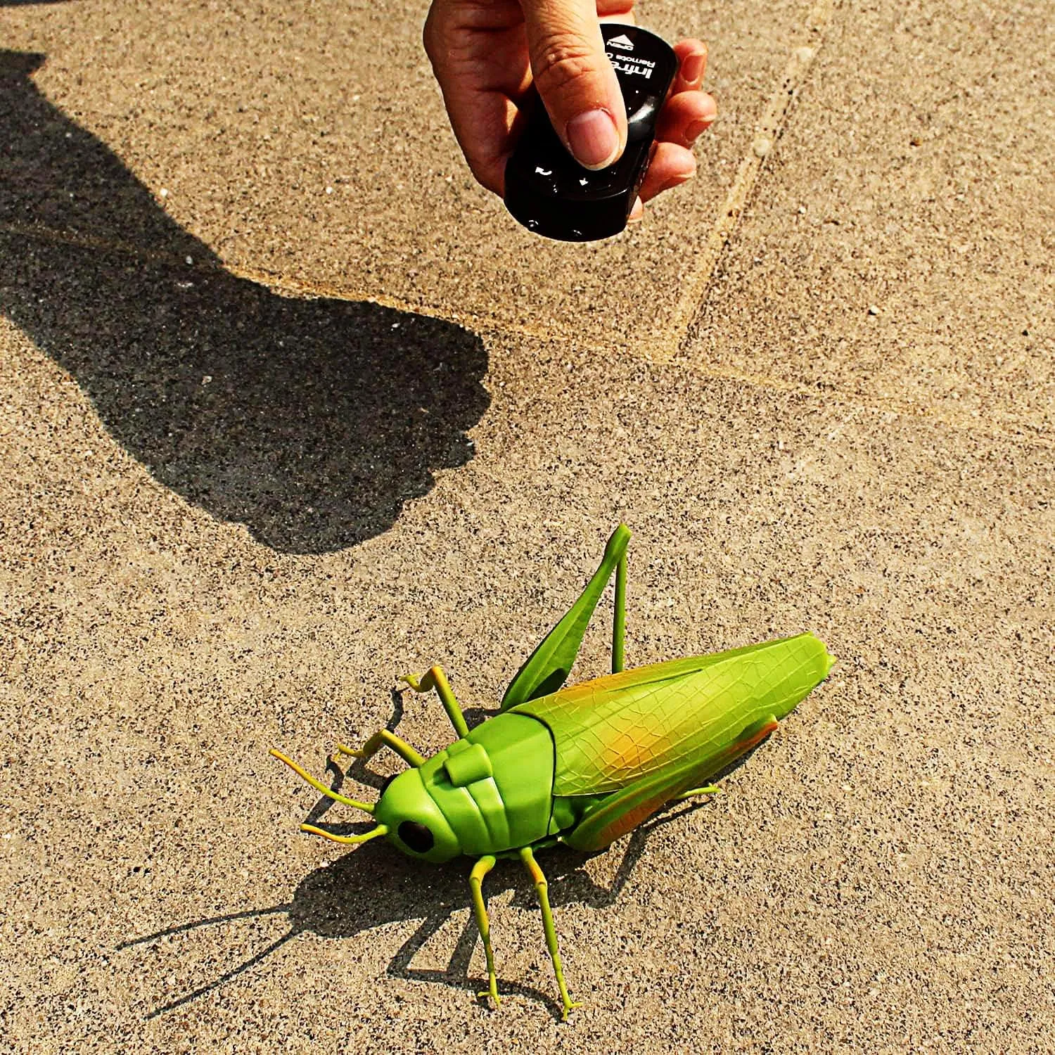 Tipmant RC Grasshopper Remote Control Grass Hopper Animal Toy Electronic Locust Fake Insect Car Vehicle Kids Birthday Gifts