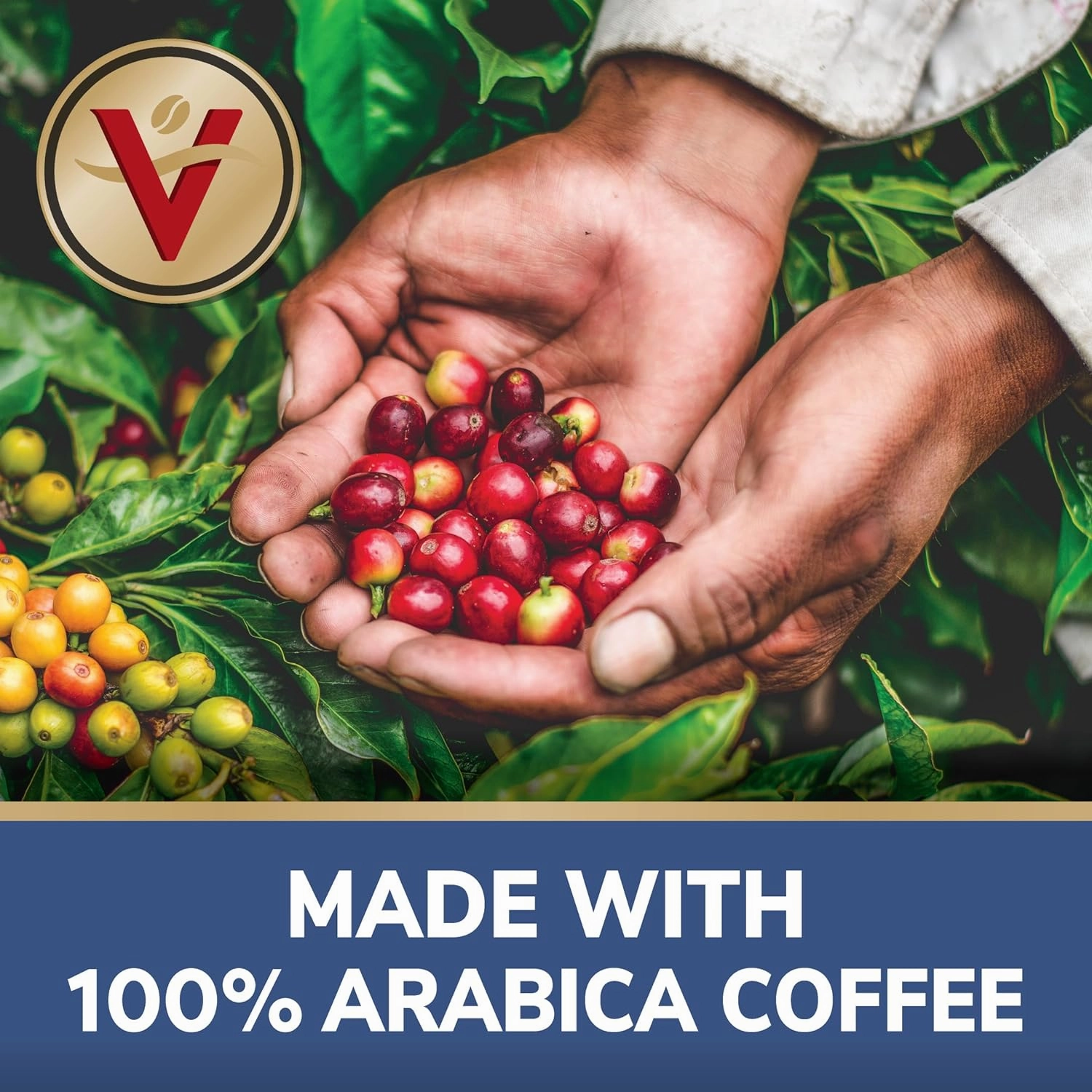 Victor Allen's Coffee Variety Pack (Morning Blend 10, 100% Colombian 10, Donut Shop Blend 12, French Roast 10), 42 Count, Single Serve Coffee Pods for Keurig K-Cup Brewers